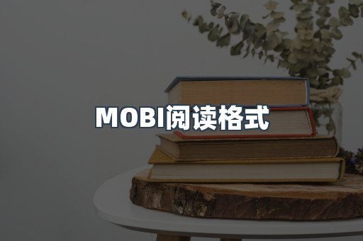 MOBI阅读格式